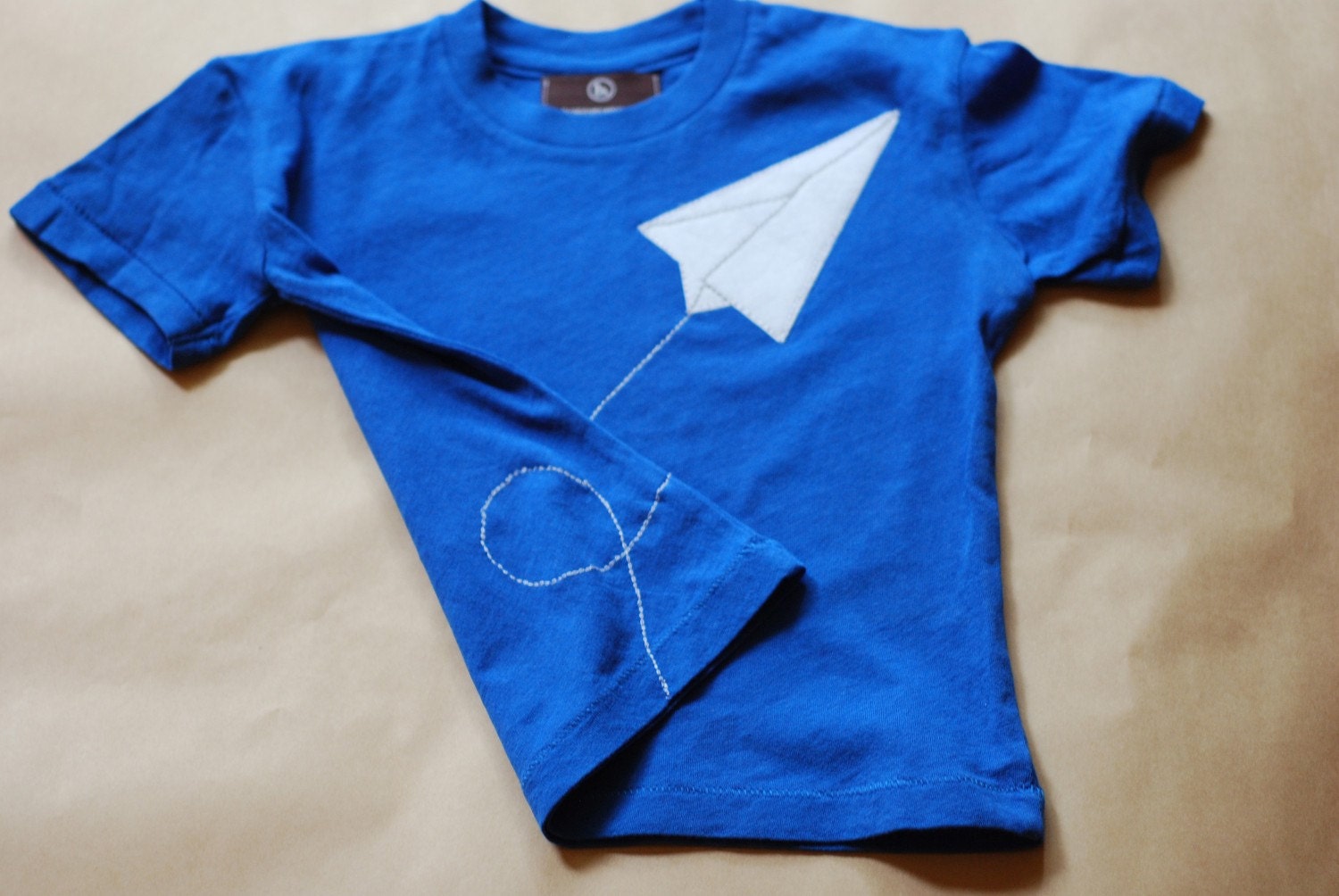 Flight of the paper airplane t