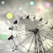 Wheel - Babys Room Art, Carnival Photography, Art For Nursery - 8x8