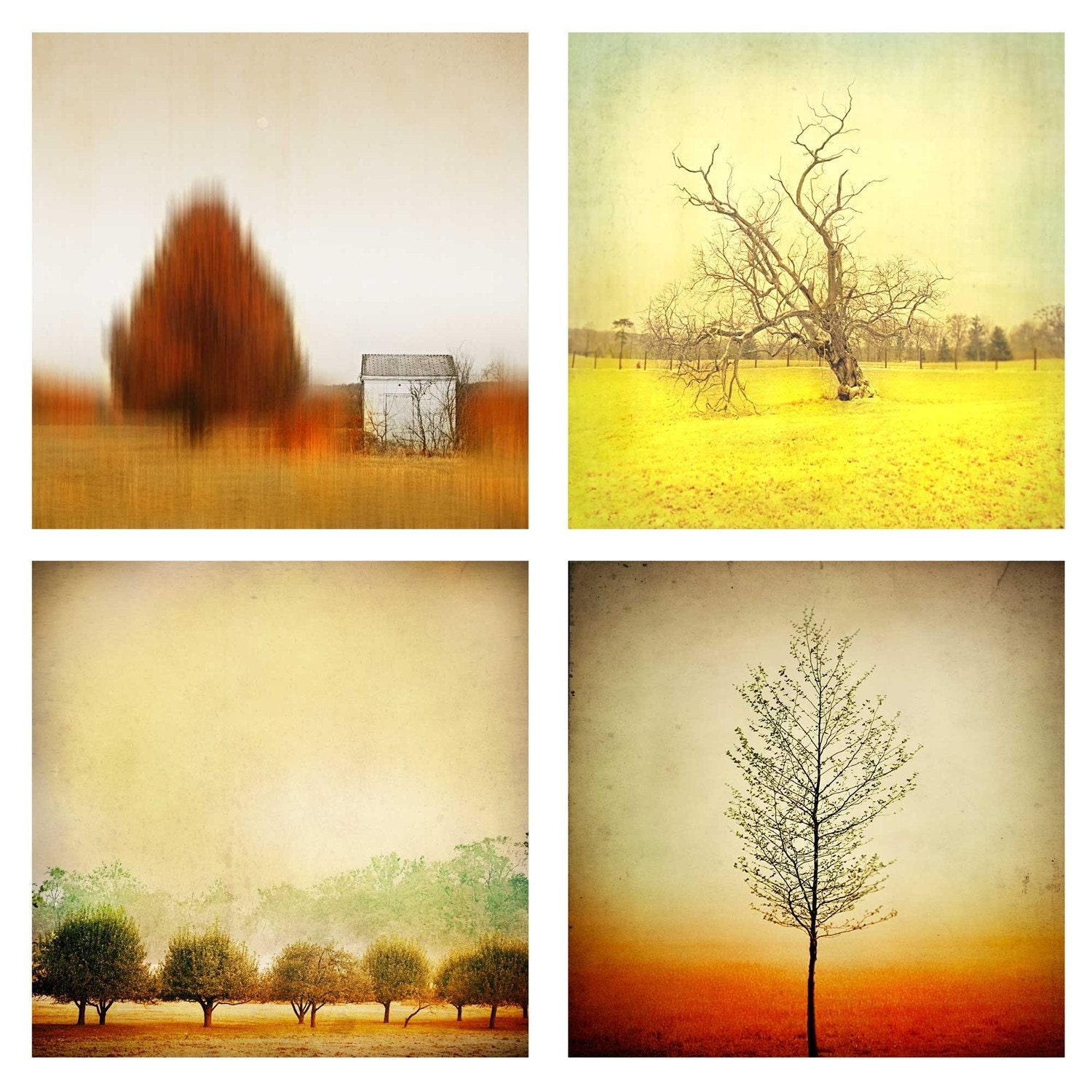 Home Decor, Print Set, Nature Photography, SALE - 5 print set - any 5 as 5x5 - Fine Art Photography Prints