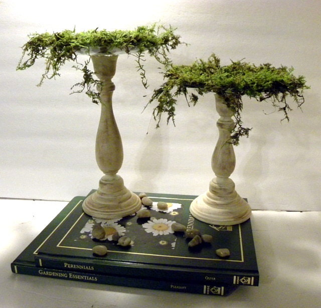 Jan custom listing for 3 Shabby Chic Moss and Glass Candle Holder