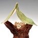 Family Tree Woodland Magic Series 3 Owls ceramic pottery handmade sculpture faux bois