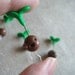 Little Sprout Buddies