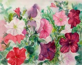 Petunias in Motion
