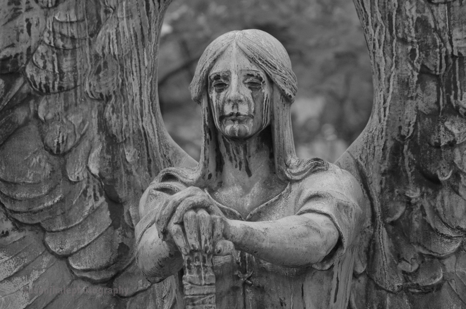 Weeping Angel - 8 x 10 photograph