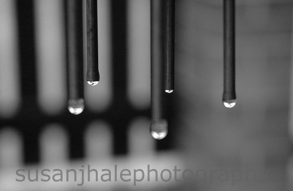 Wind Chimes - Prague - 4 x 6 fine art photograph