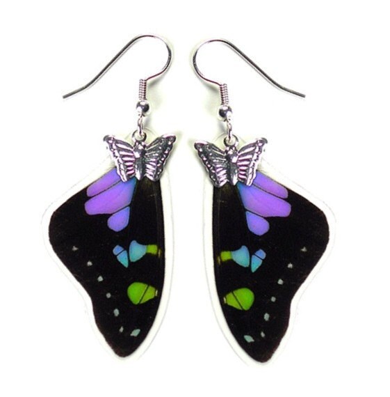Graphium wings real how with to make  Jewelry Earrings jewelry Earwings Real butterfly Weiskei Butterfly  Wing