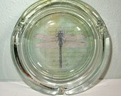 Paperweight / Caught-all / Key holder / Coin holder / Dragonfly