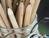 Bouquet of Perfectly Sharpened Pencils