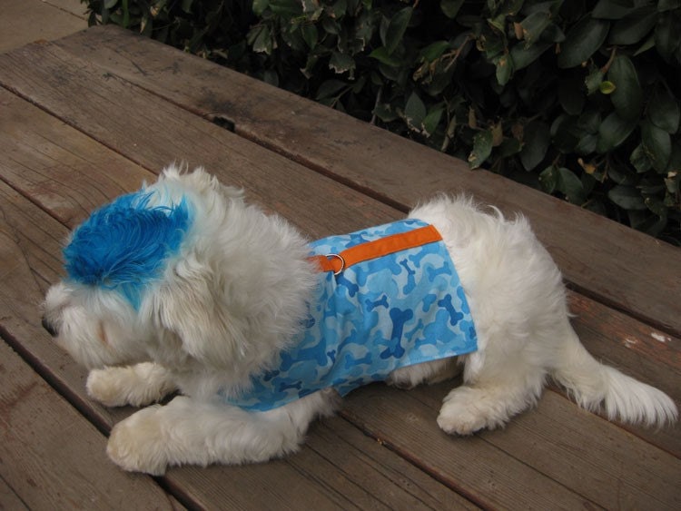 Dog Clothes Vest Blue Bone Camo