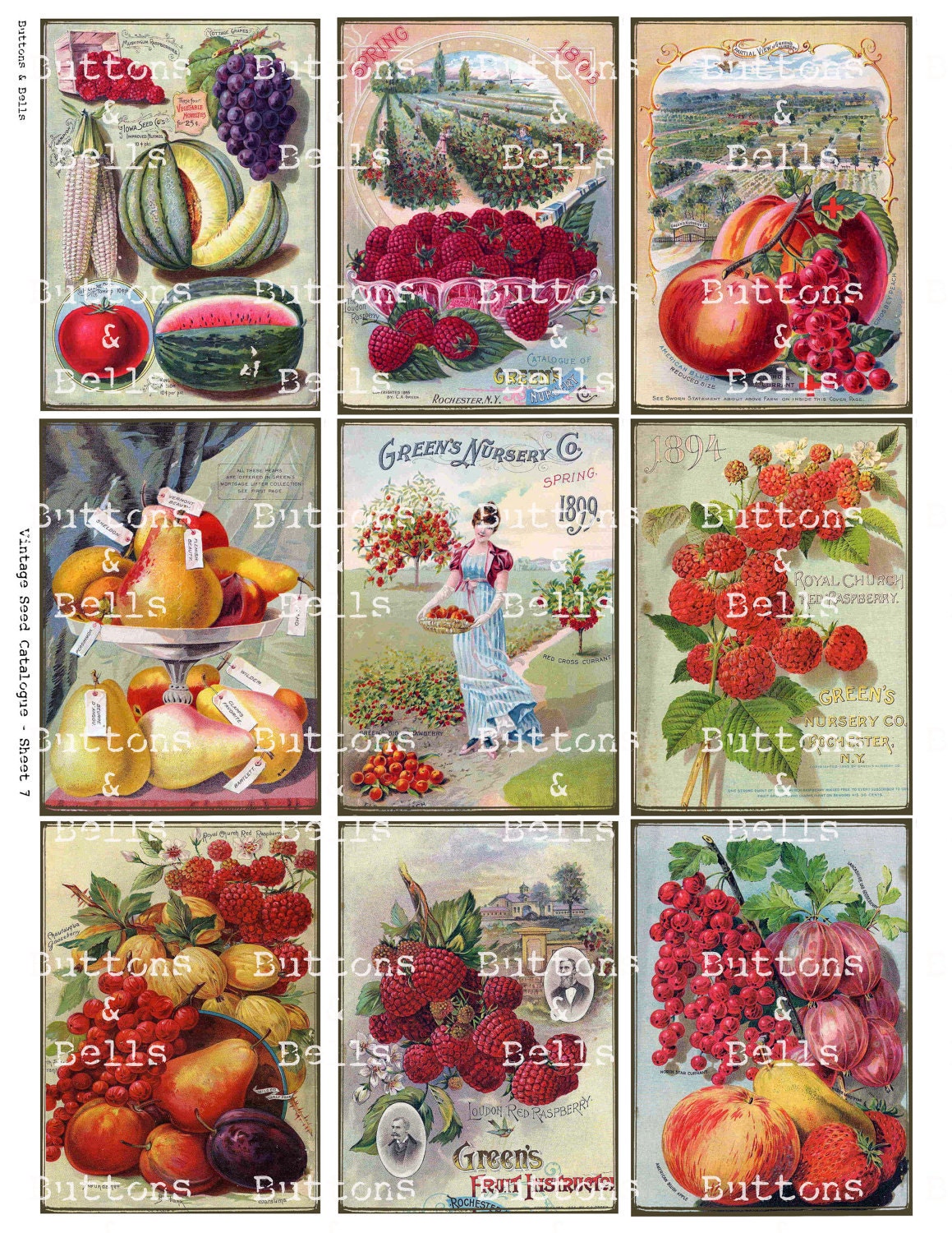 Digital Scrapbook -  Vintage Seed Catalogue -  Fruit - Ephemera - ATC - 2.5x3.5" - Collage Sheet - SP1