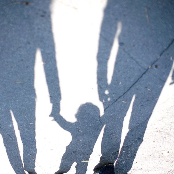 Family, blue shadows of parents and a child, first steps on a summer day - Fine Art Photograph