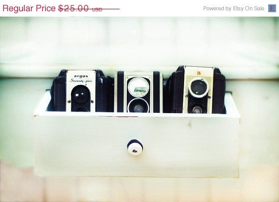 SALE - 25% OFF Chico, Rocky, Bif 8x12 Vintage Camera Print- Tina Crespo