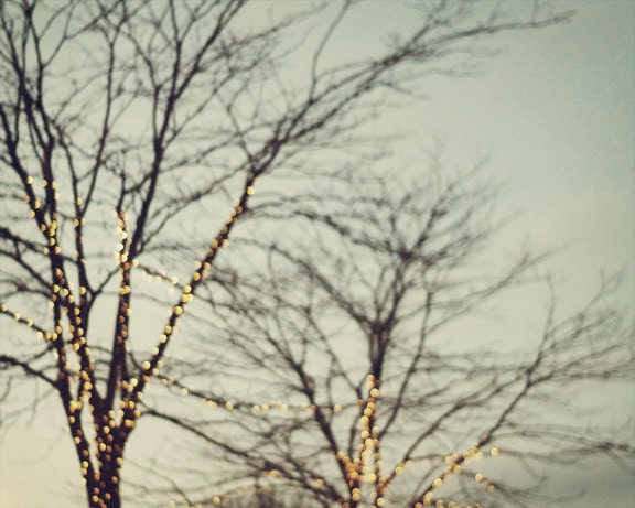 Holiday Decor, Gifts for Her, Winter, Lights, Trees, Seasonal, Yellow, Brown, Green - Wonderment - 8x10 Signed Print by Tina Crespo