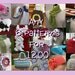 Any 6 Crochet Pattern for 12.00, All patterns included