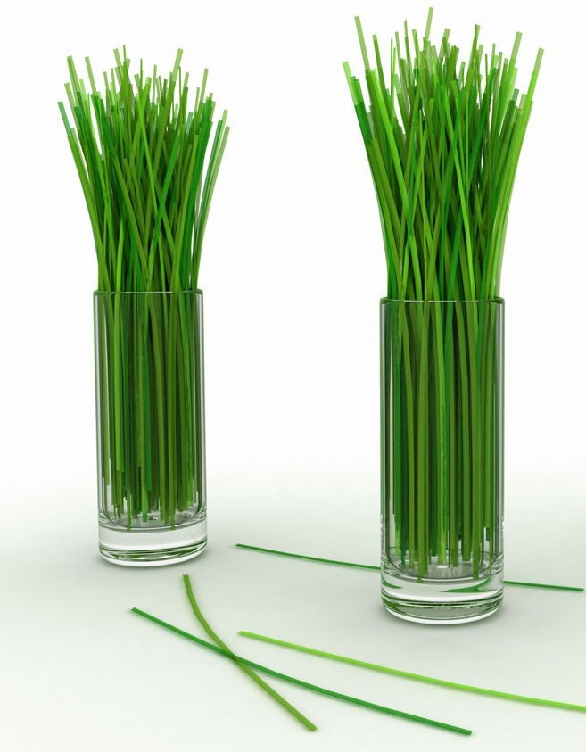 Lemon Grass Fragrance Oil 1 oz.