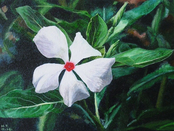 canvas print of original acrylic flower painting by Huiyi Tan, from UK