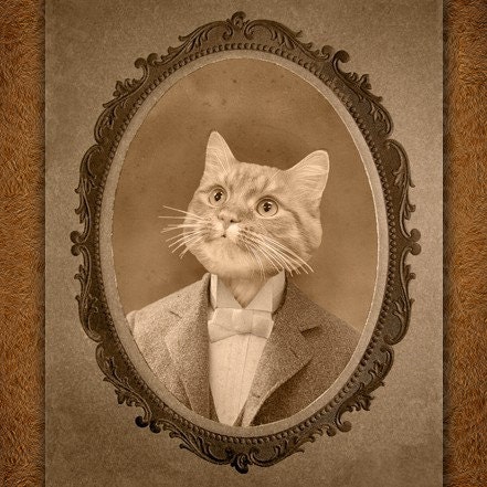 5x7 inch Hot Digital Dog Oscar Kitty