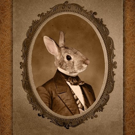 Hot Digital Dog Bunny Boy Romeo