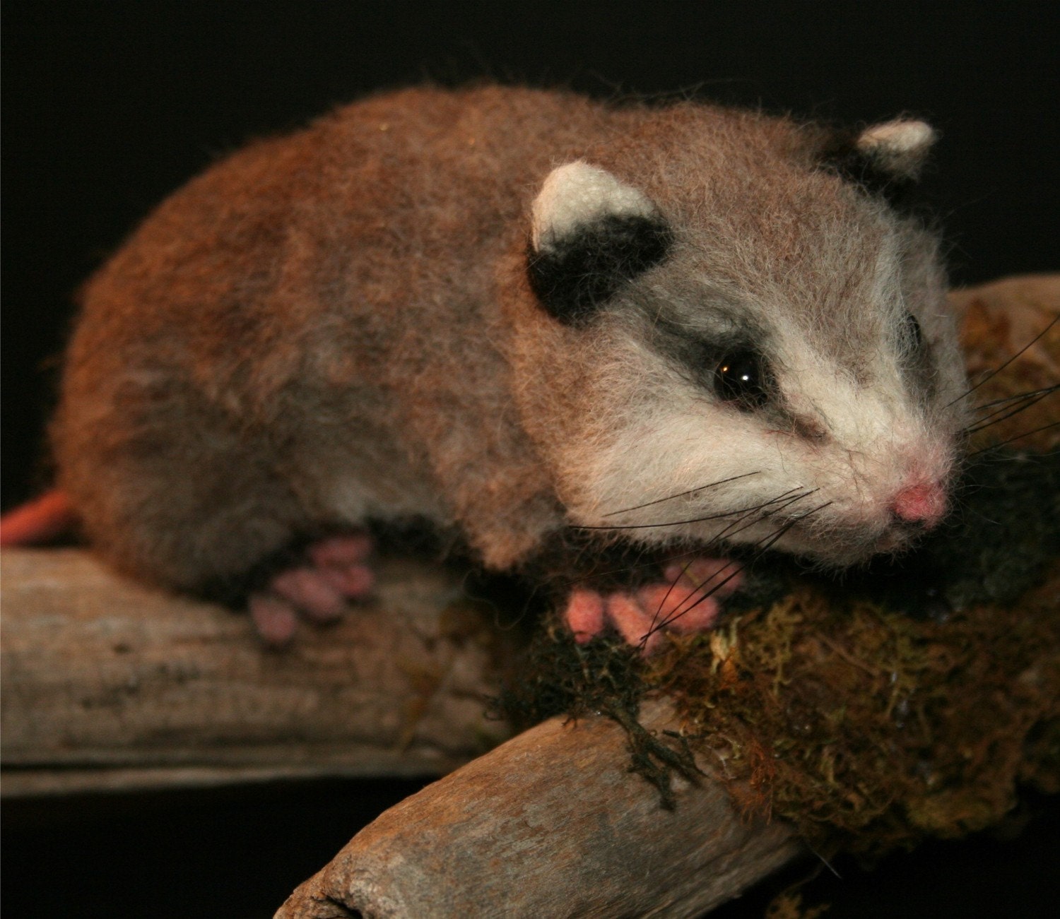 Life Size Baby Opossum OOAK Needle felted w Real wood Log