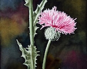 Print of Texas Thistle watercolor