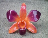 REAL Natural Rich Orange and Magenta Purple ORCHID Pin and Pendant