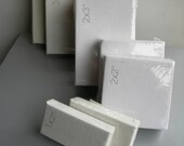 Mini Canvas Pak - Set of 8 Blanks