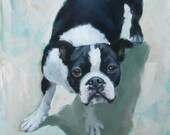 Black and White, Boston Terrier, Pit Bull, Boxer, Original Painting by Clair Hartmann