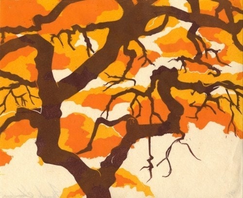 Japanese Maple