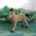 On Sale Needle Felted Buckskin Baby Horse, Foal