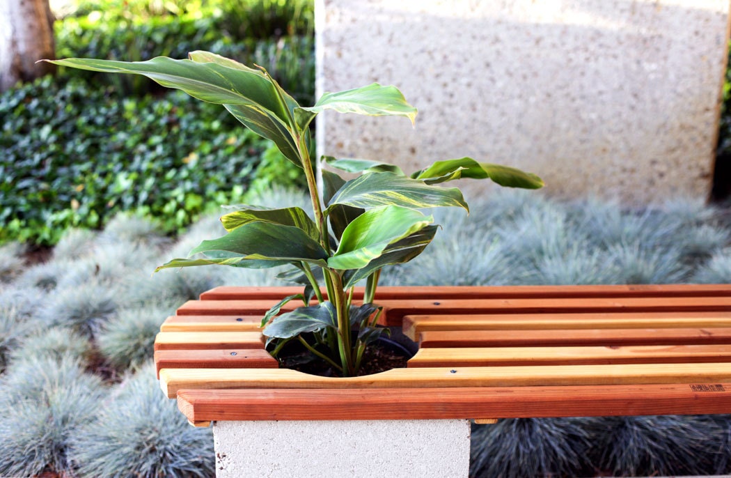 Salvaged Redwood Planter Bench