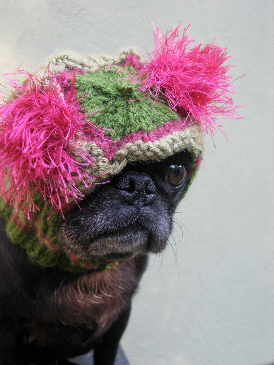 Dog Hat - Custom Snuggly Hat - The Original Pug Hat