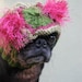 Dog Hat - Custom Snuggly Hat - The Original Pug Hat