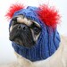Dog Hat - Custom Snuggly Hat - The Original Pug Hat