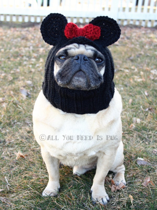 Dog Hat - Miss Mouse Hat