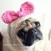 Dog Hat - Betty Bow Hat