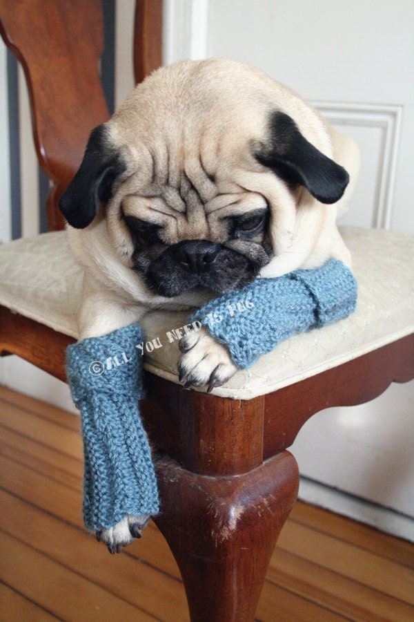 Snuggly Dog Leg Warmers