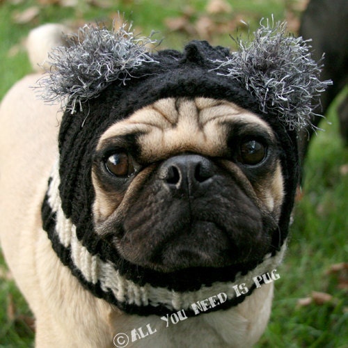 Custom Snuggly Dog Hat