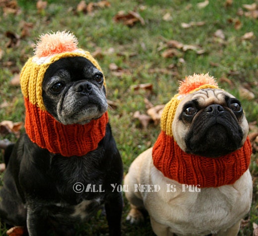 Custom Snuggly Dog Hat