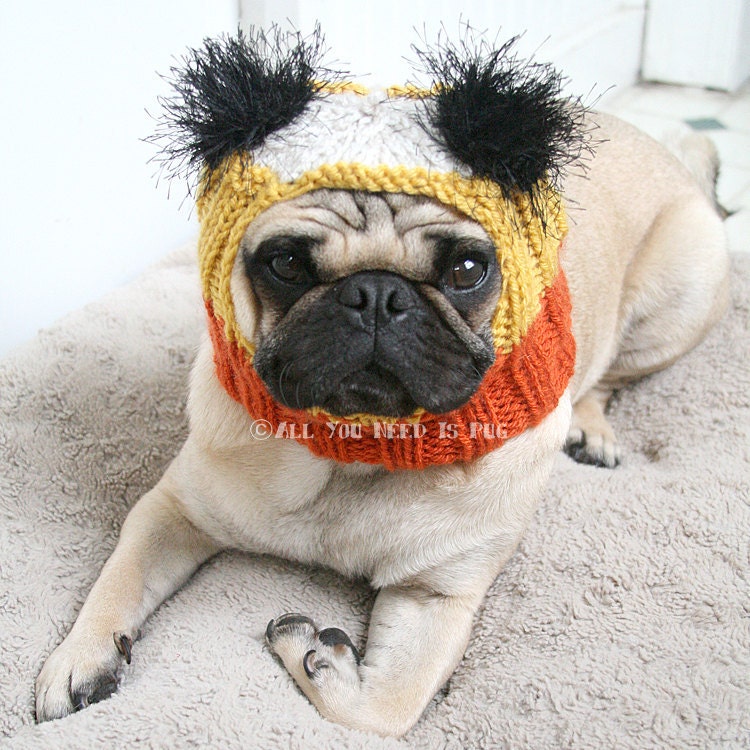 Dog Hat - Custom Snuggly Hat - The Original Pug Hat
