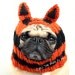 Tiger Dog Hat