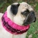 Custom Snuggly Dog Neck Warmer