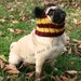 Dog Hat - Gryffindor Hat