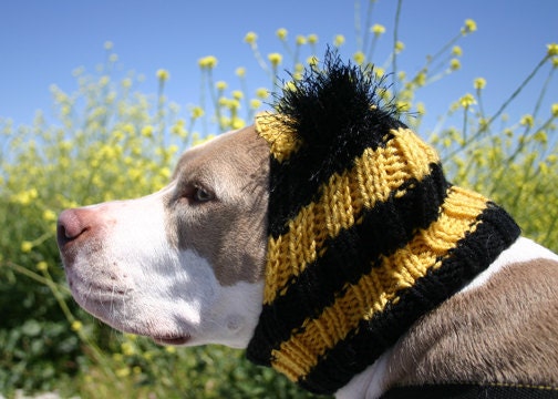 Custom Snuggly Dog Hat for Large Breeds