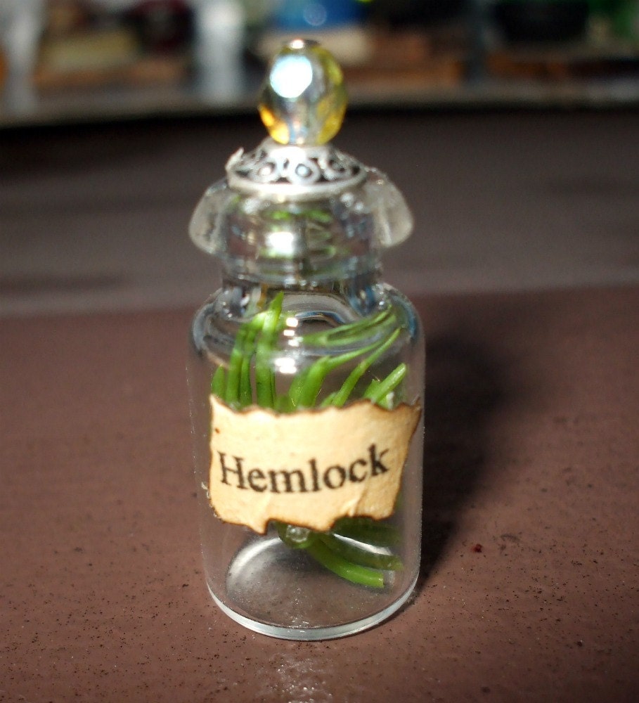 Witch Wizard Gothic Hemlock dollhouse miniature Spell bottle halloween