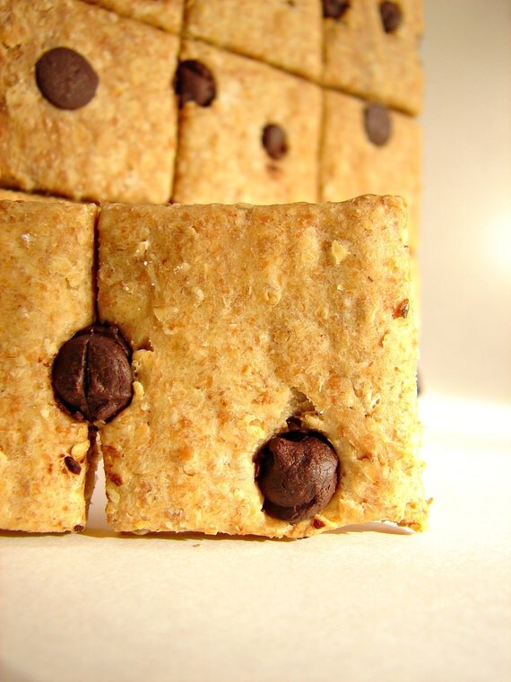 Dog Biscuit Squares-Peanut Butter & Carob Chip-Perforated for Convenience-18 Squares