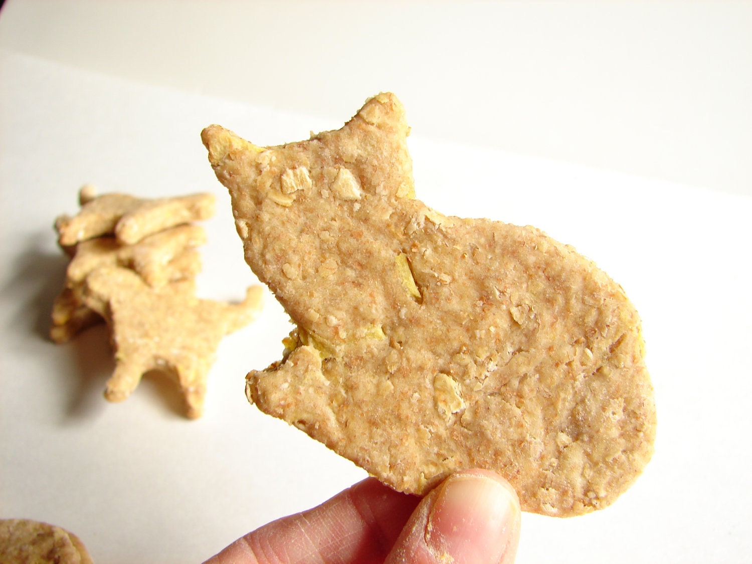 Dog Treats--Bag 'O Cats--Sweet Potato & Cheddar Flavor--All Natural Organics-6oz