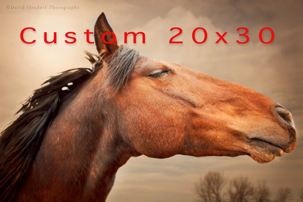 RED RISING - Horse Photography - 20x30 Metallic Fine Art Print - Custom Order