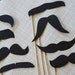 Movemeber Mustache on a Stick Collection - Set of Eight Mustaches on a Stick