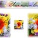 Etsy Banner Spring Flowers