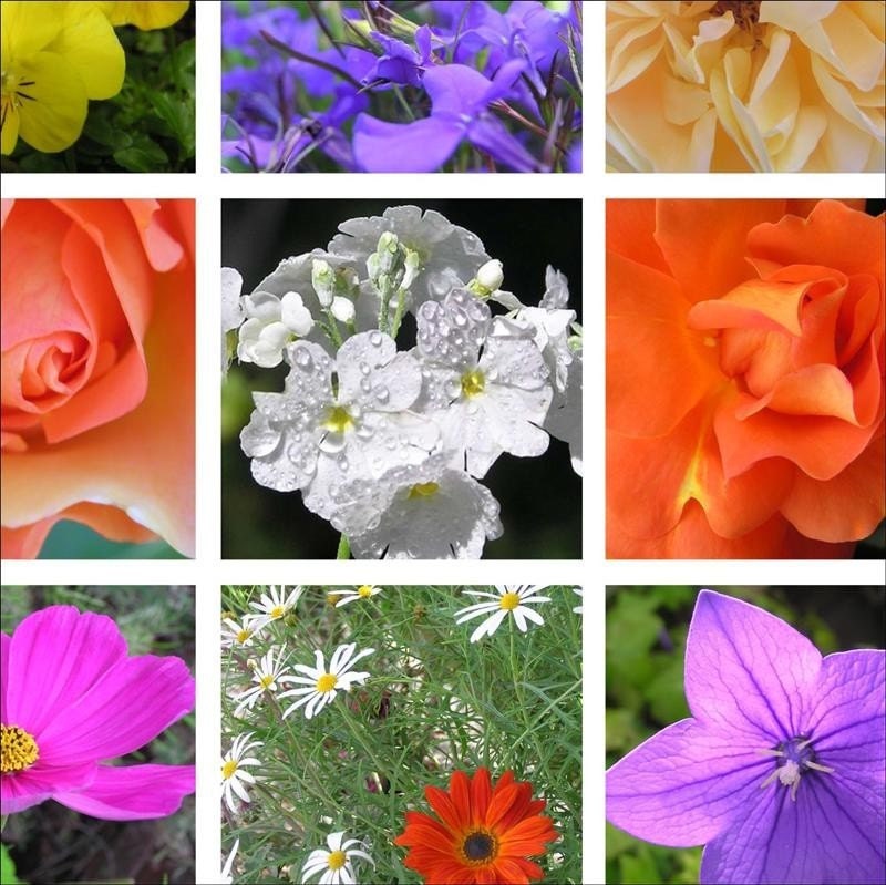 Flower mosaic Printable photograph - bright colorful Wall art 10x10 bright decor